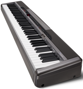 Цифровое фортепиано Casio Privia PX-320 (88 клавиш, USB, SD слот, одиночная Sustain педаль SP-3, + БП)