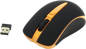 CANYON Wireless Optical Mouse CNS-CMSW6O (RTL) USB 4btn+Roll
